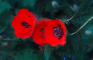 Three Poppies of Scarlet, 2018 by Unbekannt Unbekannt